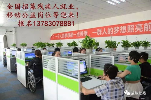 數(shù)字賦能，共創(chuàng)未來 電子商務(wù)為殘疾人群體帶來的新機遇與信息咨詢服務(wù)支持